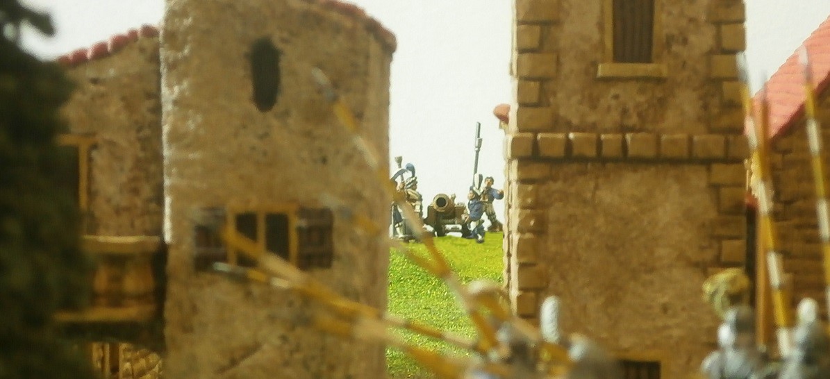 Part 24 Pic 26 Pav Cannon Can See Close Up