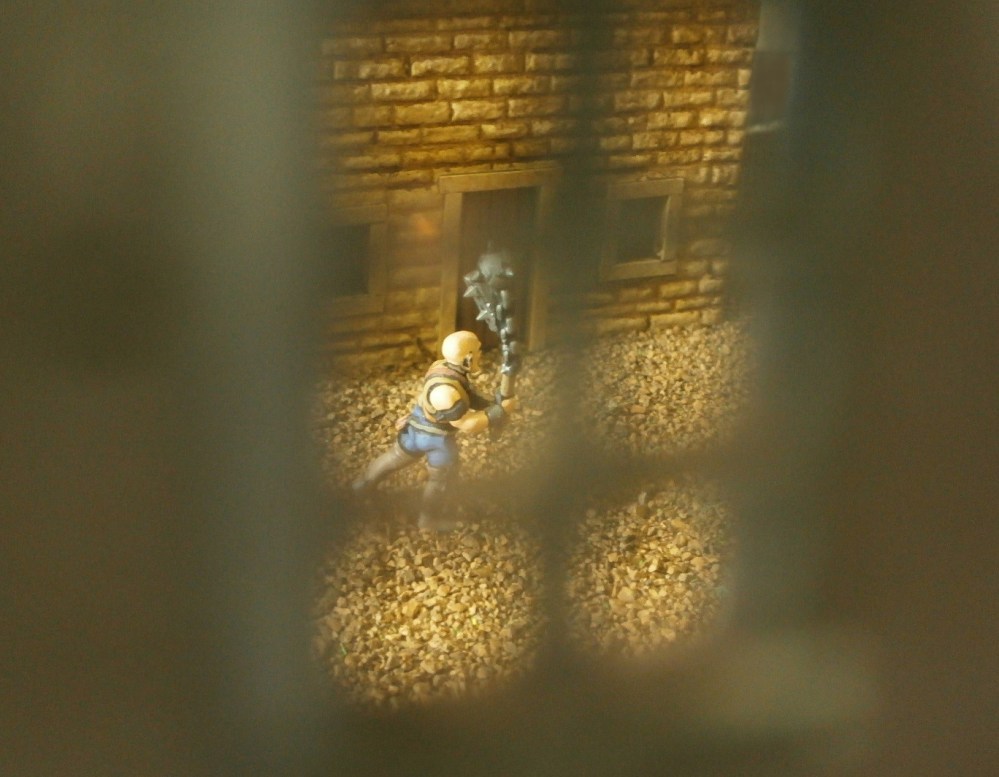 Part 36 Lone Flaggie